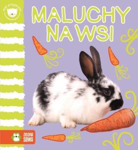 Okładka książki Maluchy na wsi Mali przyjaciele