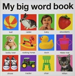 Opakowanie My Big Word Book