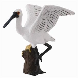 Opakowanie Ptak Warzęcha mała stojąca