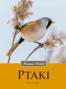 Ptaki. Fauna Polski. Autor: Dorota Zawadzka. Multiszop.pl Okładka książki Ptaki. Fauna Polski