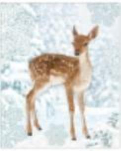 Opakowanie Torba prezentowa 26x32