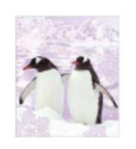 Opakowanie Torebka prezentowa 18x23