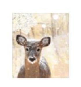 Opakowanie Torebka prezentowa 18x23