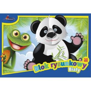 Opakowanie Blok rysunkowy biały A4 20 kartek 10 sztuk