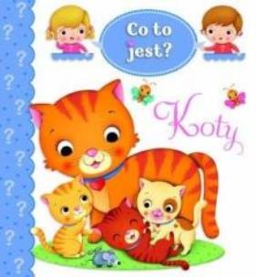 Okładka książki Co to jest? Koty