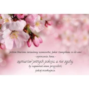 Opakowanie Magnes na lodówkę - Jestem Bowiem świadomy Jabłoń