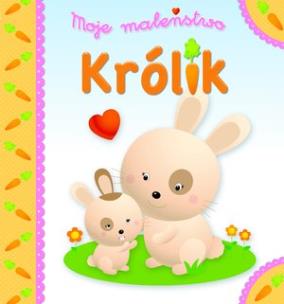 Okładka książki Moje maleństwo. Królik