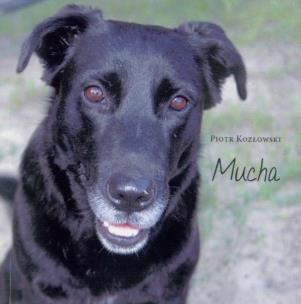 Okładka książki Mucha