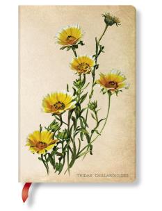 Opakowanie Notatnik Woodland Daisies Mini linia