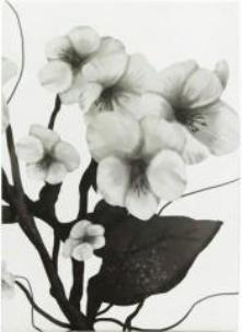 Opakowanie Notes 80k A6