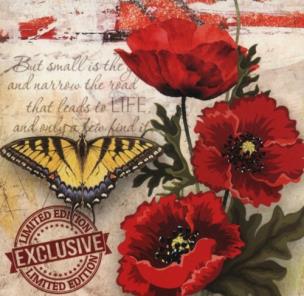 Opakowanie Notes ozdobny 100x100 w linie 60 stron mix