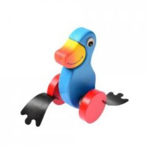 Opakowanie Pchacz duży Kaczka niebieska