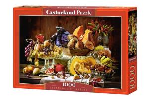 Opakowanie Puzzle 1000 Skarby Natury CASTOR