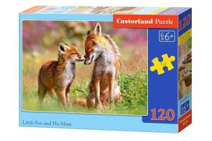 Opakowanie Puzzle Little Fox and His Mum 120