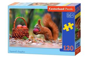 Opakowanie Puzzle Squirrel's Supplies 120