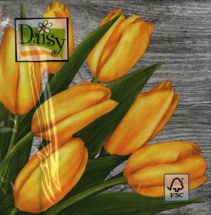 Okładka książki Serwetka Daisy SDWI003101