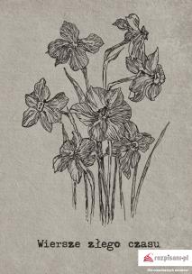 Okładka książki Wiersze złego czasu