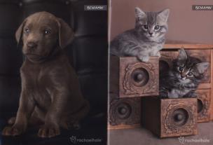 Opakowanie Zeszyt A5 Rachael Hale w kratkę 80 kartek 5 sztuk mix