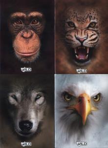 Opakowanie Zeszyt A5 Wild w kratkę 80 kartek 5 sztuk mix