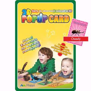 Opakowanie Karty Popup 3D owady