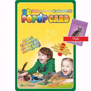 Opakowanie Karty Popup 3D ptaki