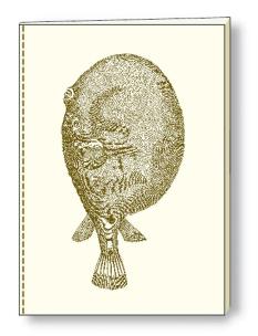 Opakowanie Notatnik ozdobny A5 64 kartki BR NB S03A