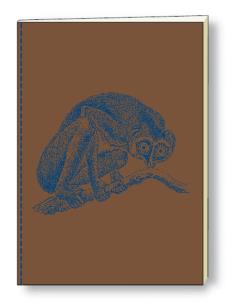 Opakowanie Notatnik ozdobny A5 64 kartki BR NB S10A