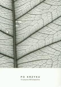 Okładka książki Po krzyku