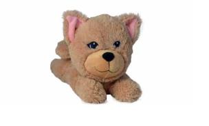 Opakowanie Snapetz - Kotek Ginger