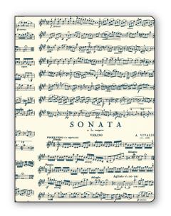 Okładka książki Teczka na dokumenty FF V20B