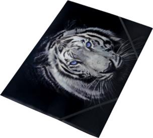 Opakowanie Tiger teczka na gumkę z nadrukiem A4 pp