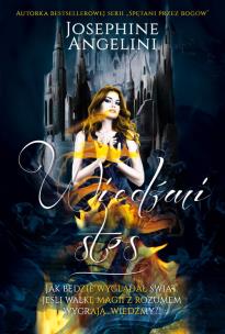 Okładka książki Wiedźmi stos