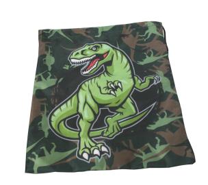 Okładka książki Worek na kapcie street dinosaur