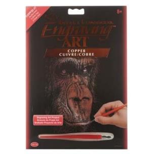 Opakowanie Wydrapywanka miedziana Szympans