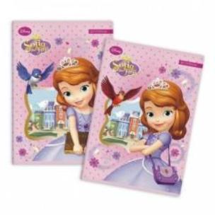 Opakowanie Zeszyt  A5/16k linia STK Sofia FOL  A'20/160