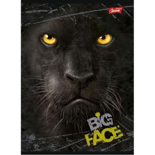 Opakowanie Brulion A5 w kratkę 96 kartek Puma