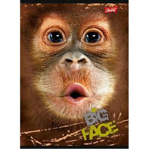 Opakowanie Brulion A5 w kratkę 96 kartek