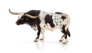 Opakowanie Byk Teksański