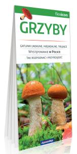 Opakowanie Grzyby