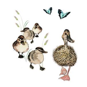 Opakowanie Karnet Swarovski kwadrat CL1220