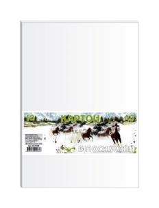 Okładka książki Karton biały A3 10 arkuszy 230g/m2