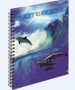 Opakowanie Kołonotatnik A4/100K twarda oprawa GRAND