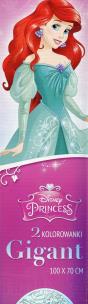 Opakowanie Kolorowanka Gigant Disney Princess