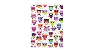 Opakowanie Notes A5 na rzep z nadrukiem sówki