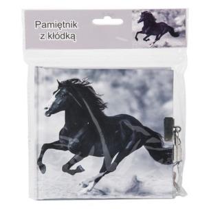 Opakowanie Pamiętnik 17-3640H