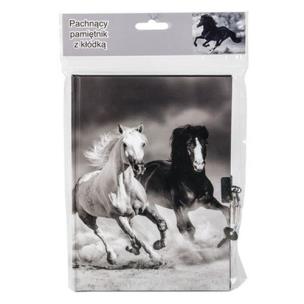 Opakowanie Pamiętnik 17-3650K