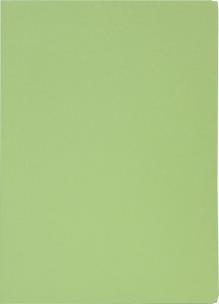 Opakowanie Papierowa teczka, 285g zielona Optima