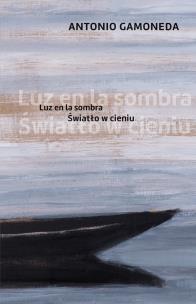 Okładka książki Światło w cieniu