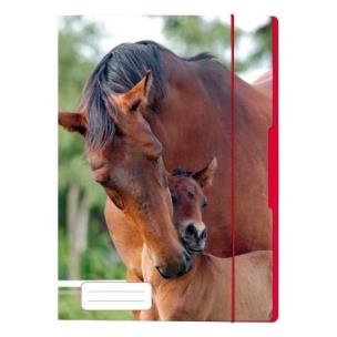 Opakowanie Teczka rysunkowa A4 z gumką Koń