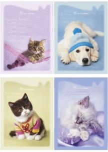 Opakowanie Wkłady do segregatora A5 8 kartek z kolorowankami i naklejkami